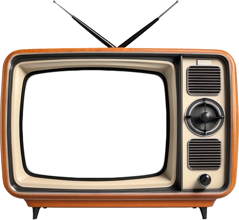 video sektion television